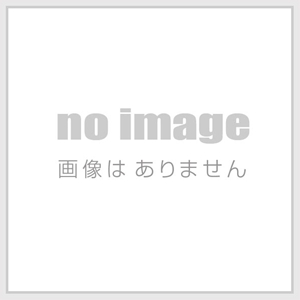 CUSCO シートバックプロテクター（ブラック）